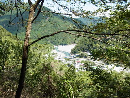 RIMG0239.JPG